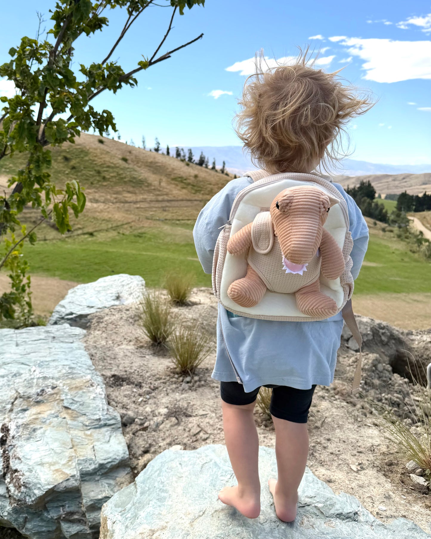 Beige Dinosaur Kids Backpack | Toddler Backpack NZ